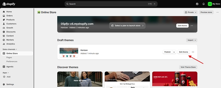 shopify-admin-edit-theme-button